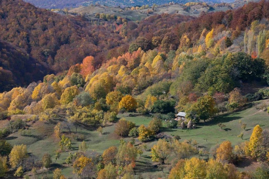 Valley View Breaza Εξωτερικό φωτογραφία