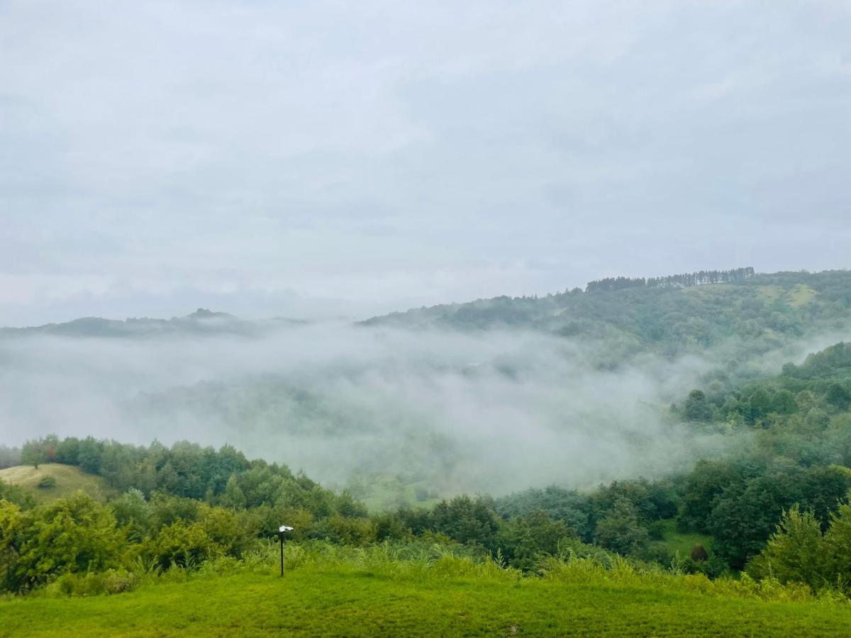 Valley View Breaza Εξωτερικό φωτογραφία